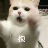 喵与城
