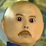 蛋蛋