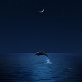 月光与海