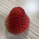 喵喵