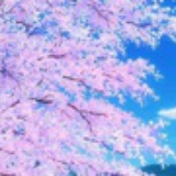 且听风吟