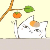 子规声里