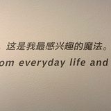 巴塞罗那橘子树
