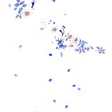 酴醾雪