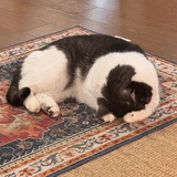 tian