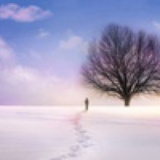 一个人旅行