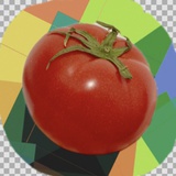 罗曼蒂克西红柿