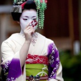 艾莉游日本