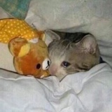 12:25PM