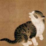陌。