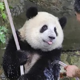 茶泡饭