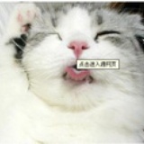 我来炸妹