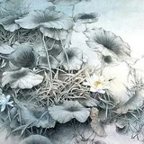 笑书青灵