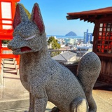 Tinyfox