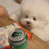 普通的网上邻居