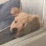 惨绿青年