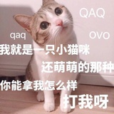 睡不醒