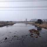 当年纵酒长安市