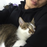 牧羊人