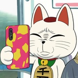 霹雳貝贝⁷