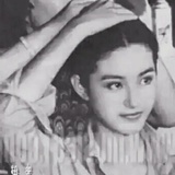 星垂阔野