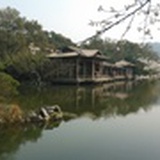 狐狸的口是心非