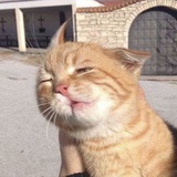 泡泡眼