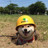 那年遇上世之介