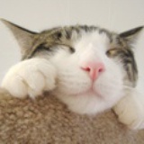 小G