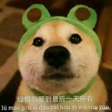 想要问问你敢不