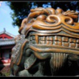 尼趣