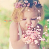 Iril