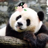 多喝水