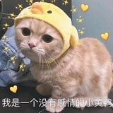 奶糖落落