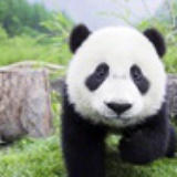 钟桑榆