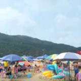 哩越鹃