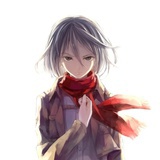 NICO2333