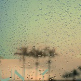 林琳雨