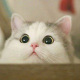 叶萧溦