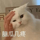 123