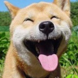 wang小花