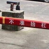 你说的对