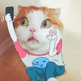 凡凡凡凡凡