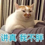 sugar