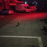 嗯