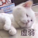 专业磕小帅哥