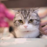 匪兵乙