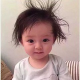发呆的猫
