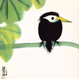 丛林