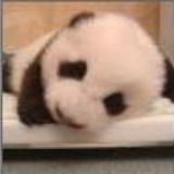 美女请留步